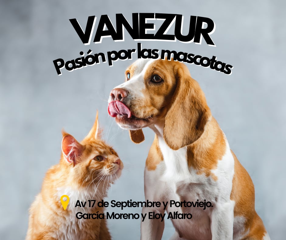 Publicidad